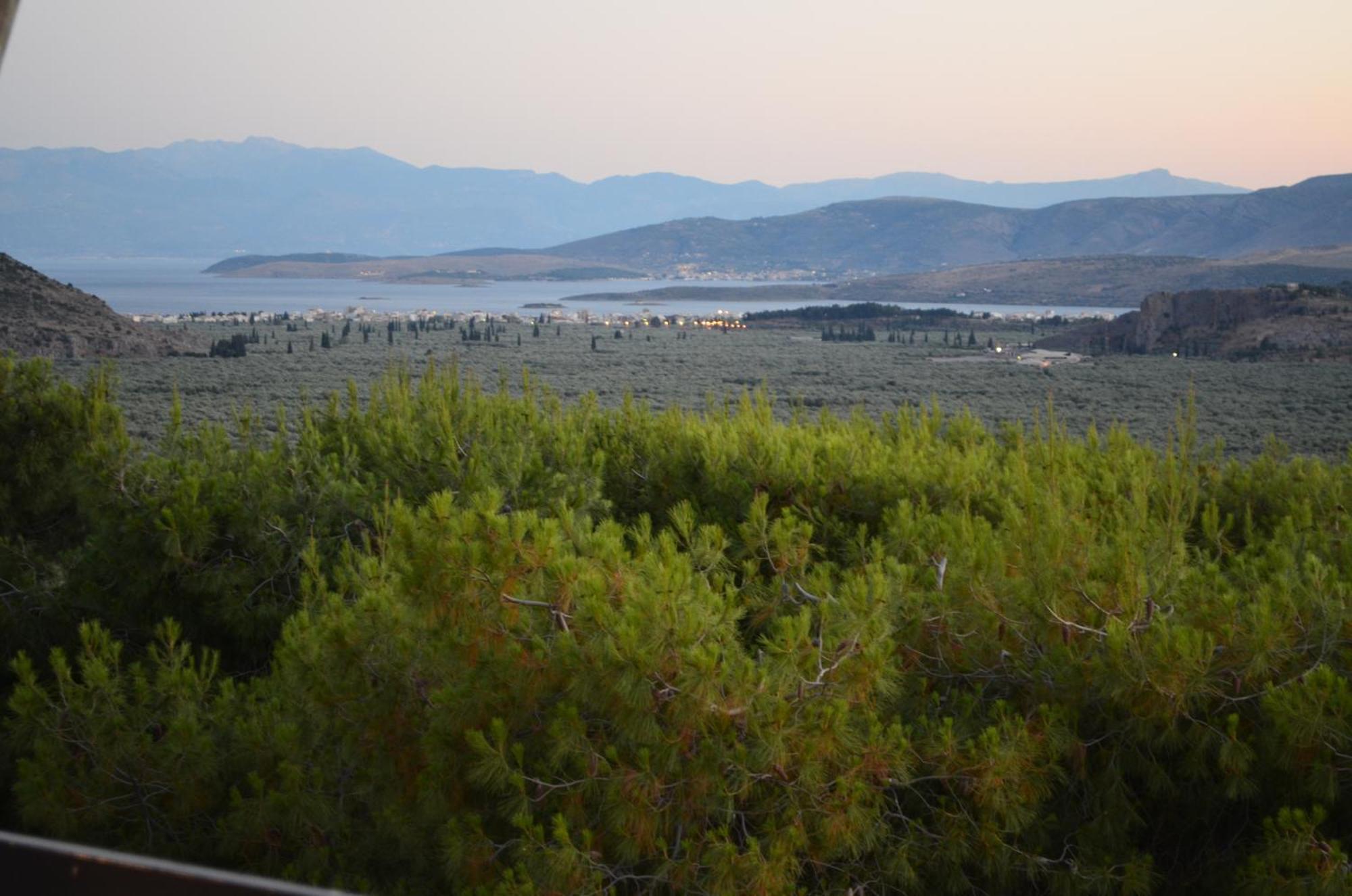Chrissa Camping Rooms & Bungalows Delphoi Kültér fotó